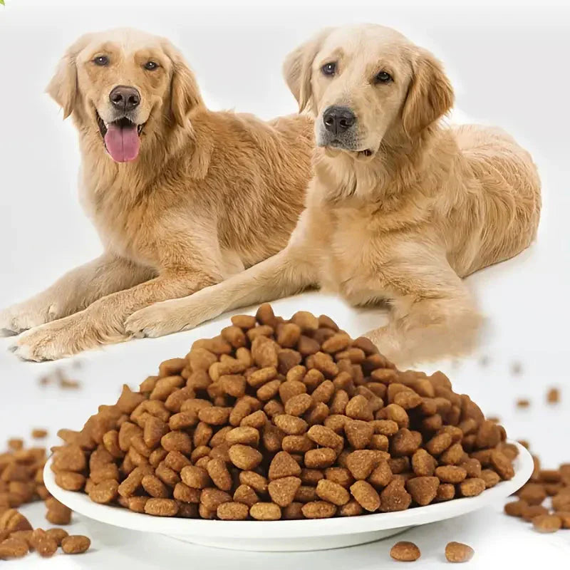 1.1LB Beef Flavor Dog Dry Food Pet Food Dog Nutritious Food Petzymart