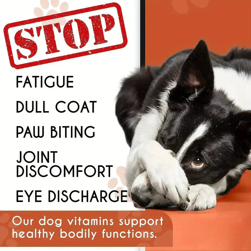 120pcs 10 In 1 Dog Multivitamin, Multifunctional Supplements For Dogs Petzymart