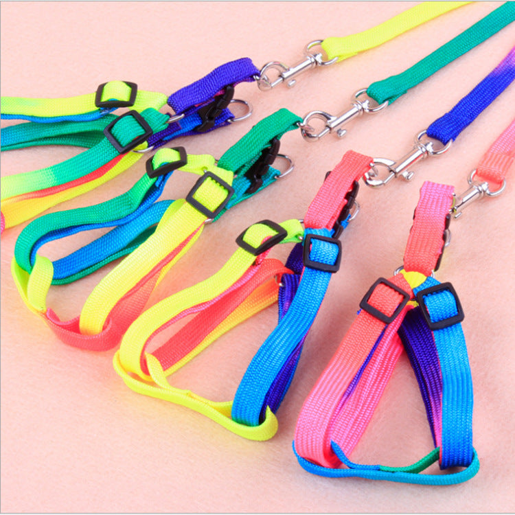 Leashes Colorful For Pets