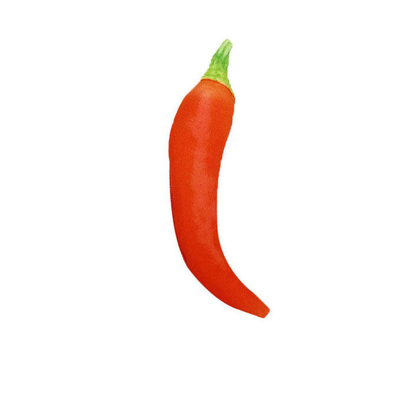 Pet Canvas Durable Toy Sound