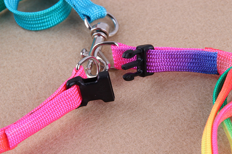 Leashes Colorful For Pets