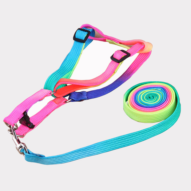 Leashes Colorful For Pets