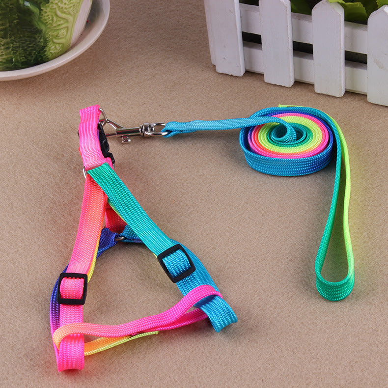 Leashes Colorful For Pets