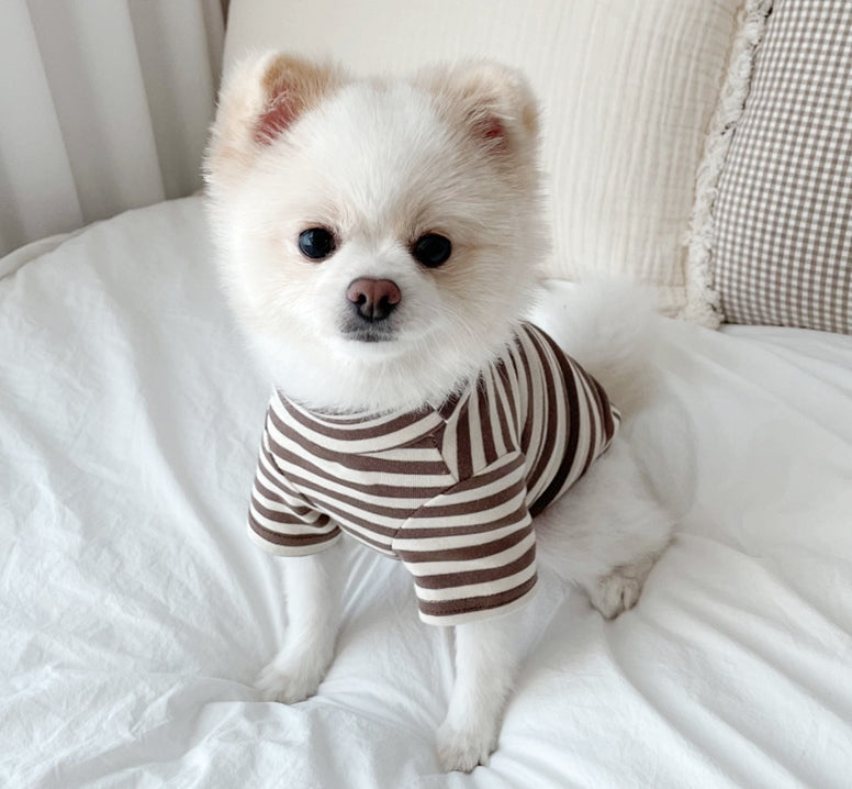 Summer Thin Small Dog Pet Clothes
