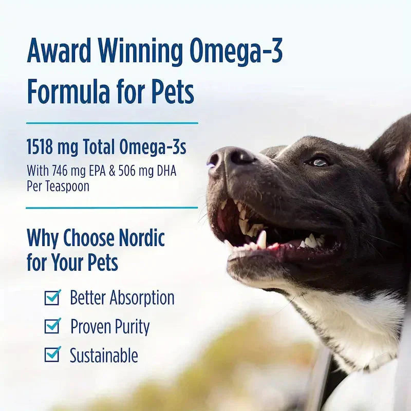 60pcs Dog Food Supplement Wild Salmon Fish Oil , Natural EPA & DHA Fatty Acids For Skin, Coat, Joints & Heart Petzymart