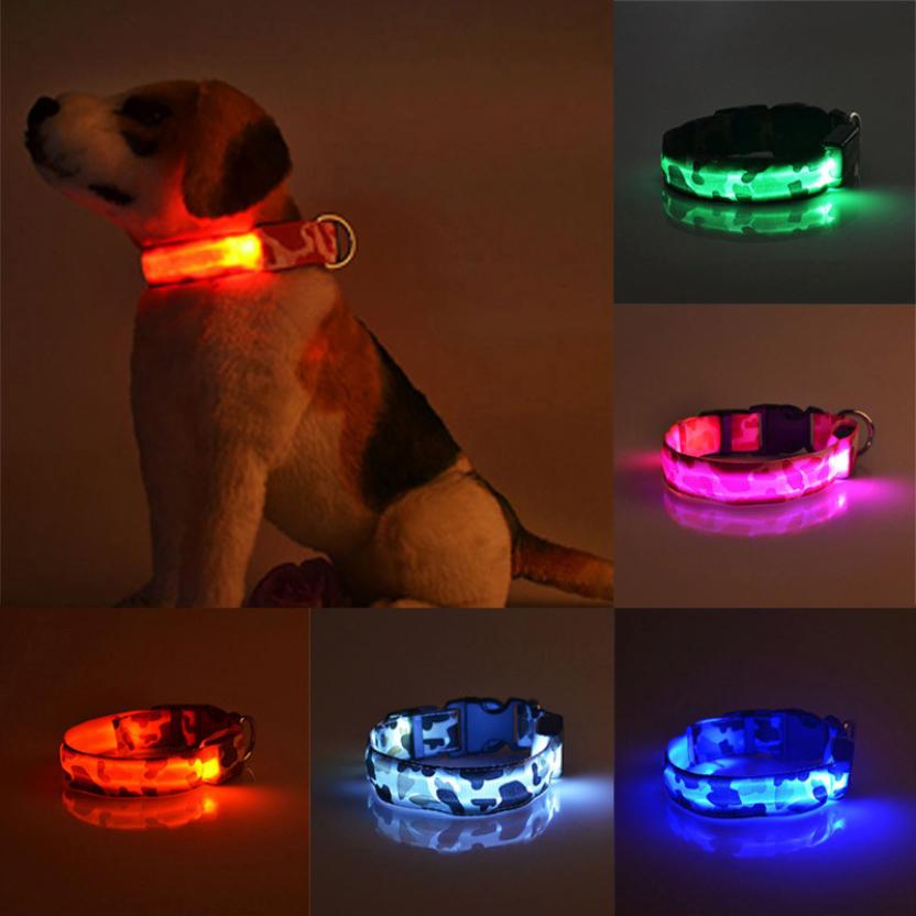 Camouflage pet supplies luminous dog collar Petzymart