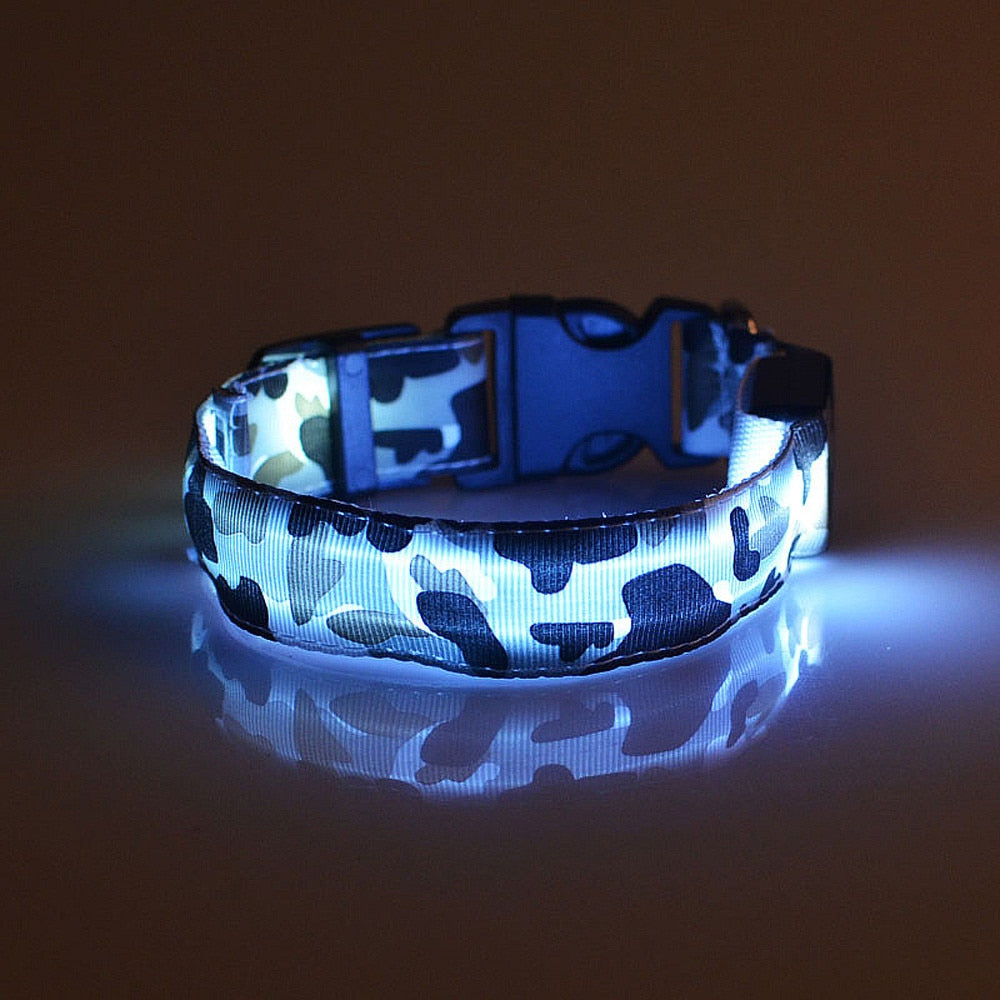 Camouflage pet supplies luminous dog collar Petzymart