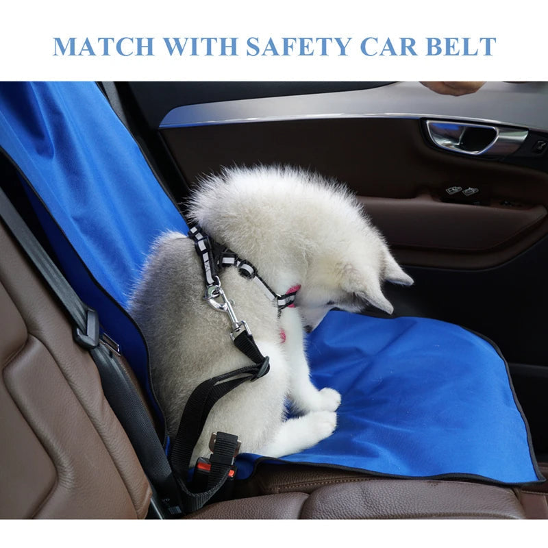 Car Pet Back Seat Pet Cover Protector Waterproof Mat Petzymart
