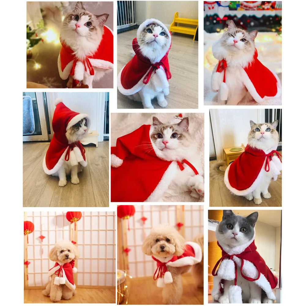 Cat Costume Santa Cosplay Funny Transformed Petzymart