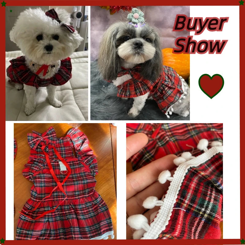 Cat Skirt Pet Christmas Clothes Silver Fox Petzymart