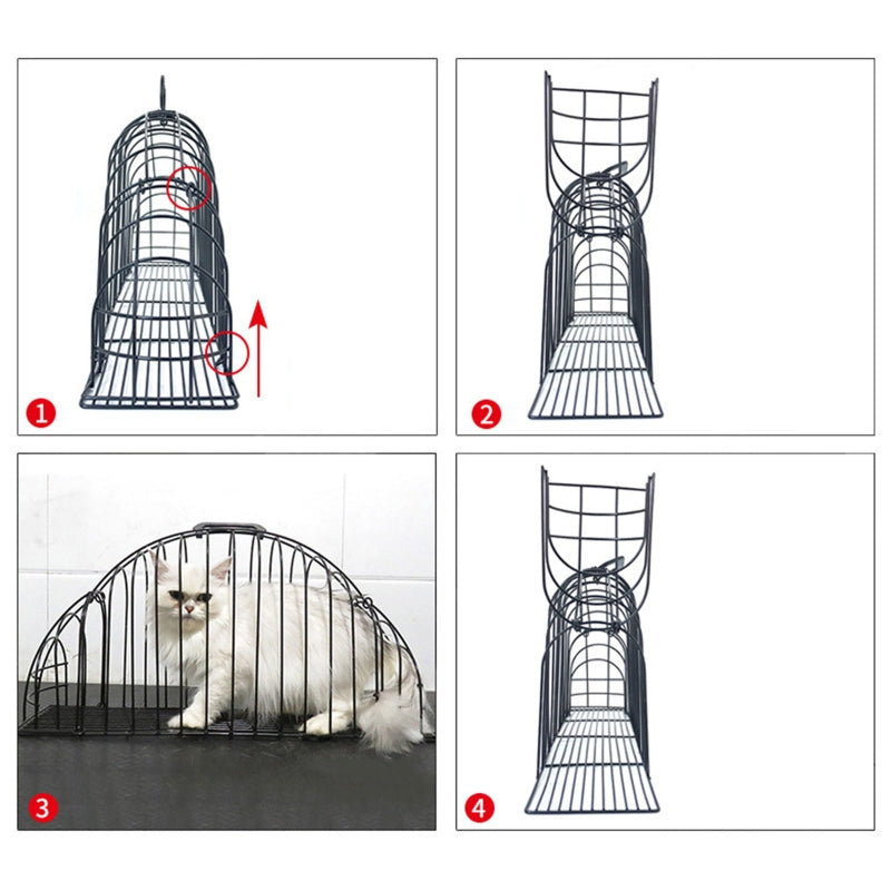 Cats Use A Bath And Transport Cage To Prevent Scratching Petzymart