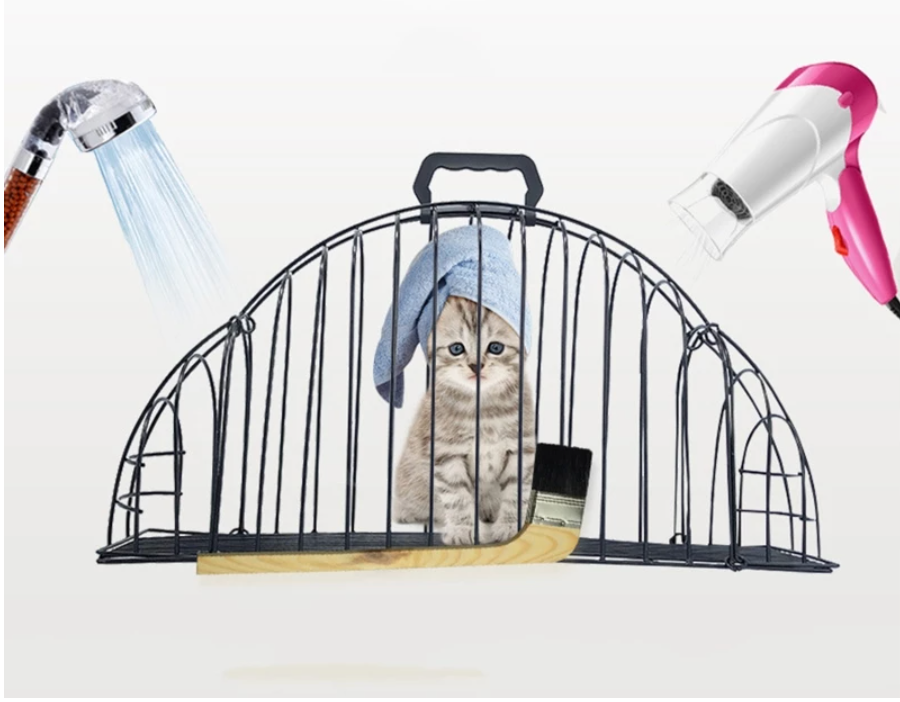 Cats Use A Bath And Transport Cage To Prevent Scratching Petzymart