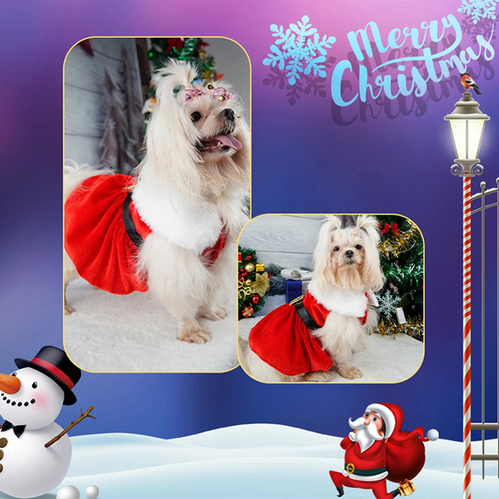 Christmas Dog Fancy Princess Puppy Dress Petzymart