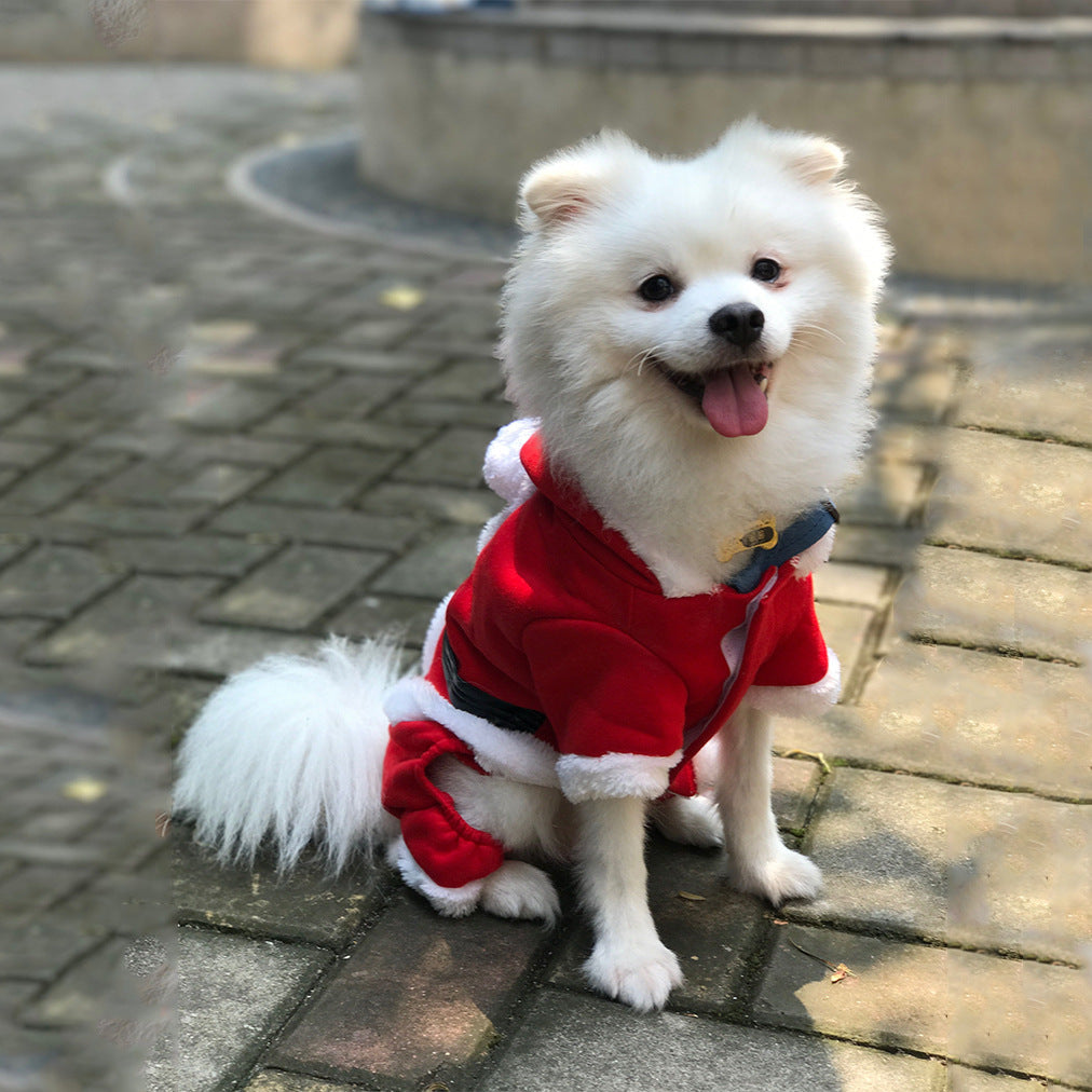 Christmas warm clothes for pets Petzymart