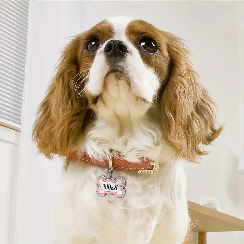 Custom Pet ID Tags - Engraved Both Sides with Your Pet's Name! Petzymart