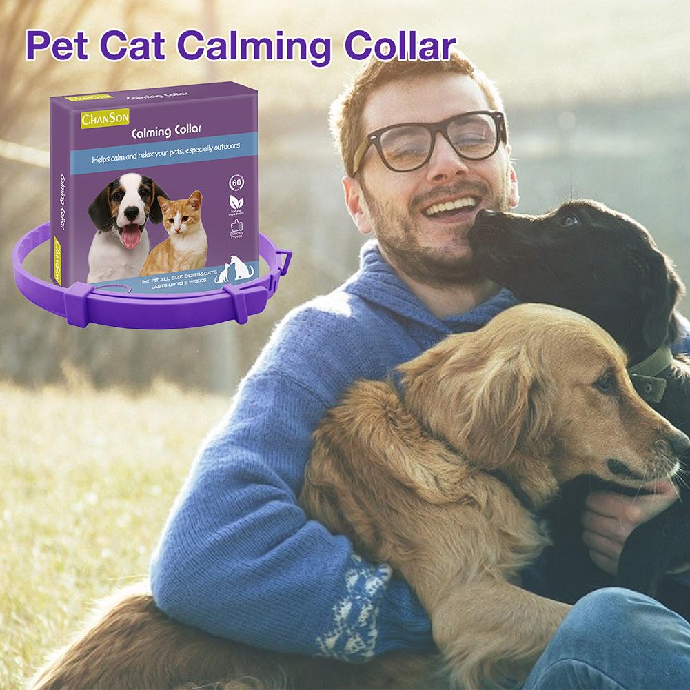 Dog Comfort Collar Cat Teddy Pet Petzymart