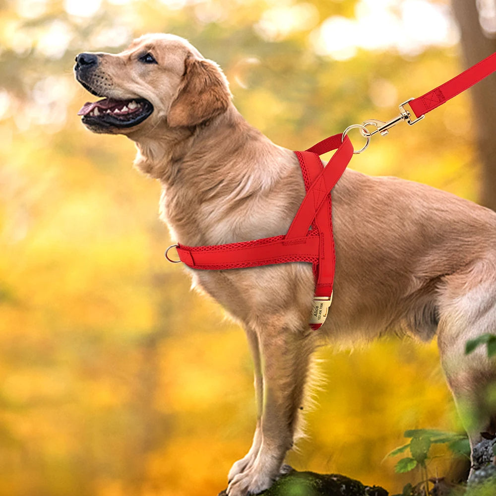 Dog Harness No Pull Dog Harnesses Adjustable Petzymart