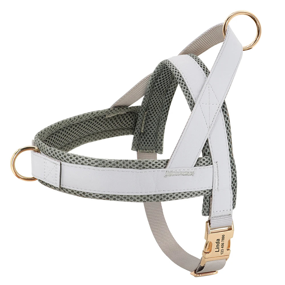Dog Harness No Pull Dog Harnesses Adjustable Petzymart