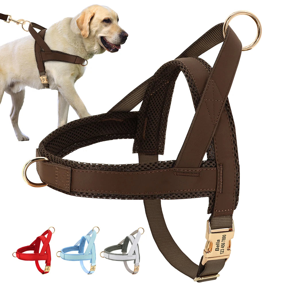 Dog Harness No Pull Dog Harnesses Adjustable Petzymart