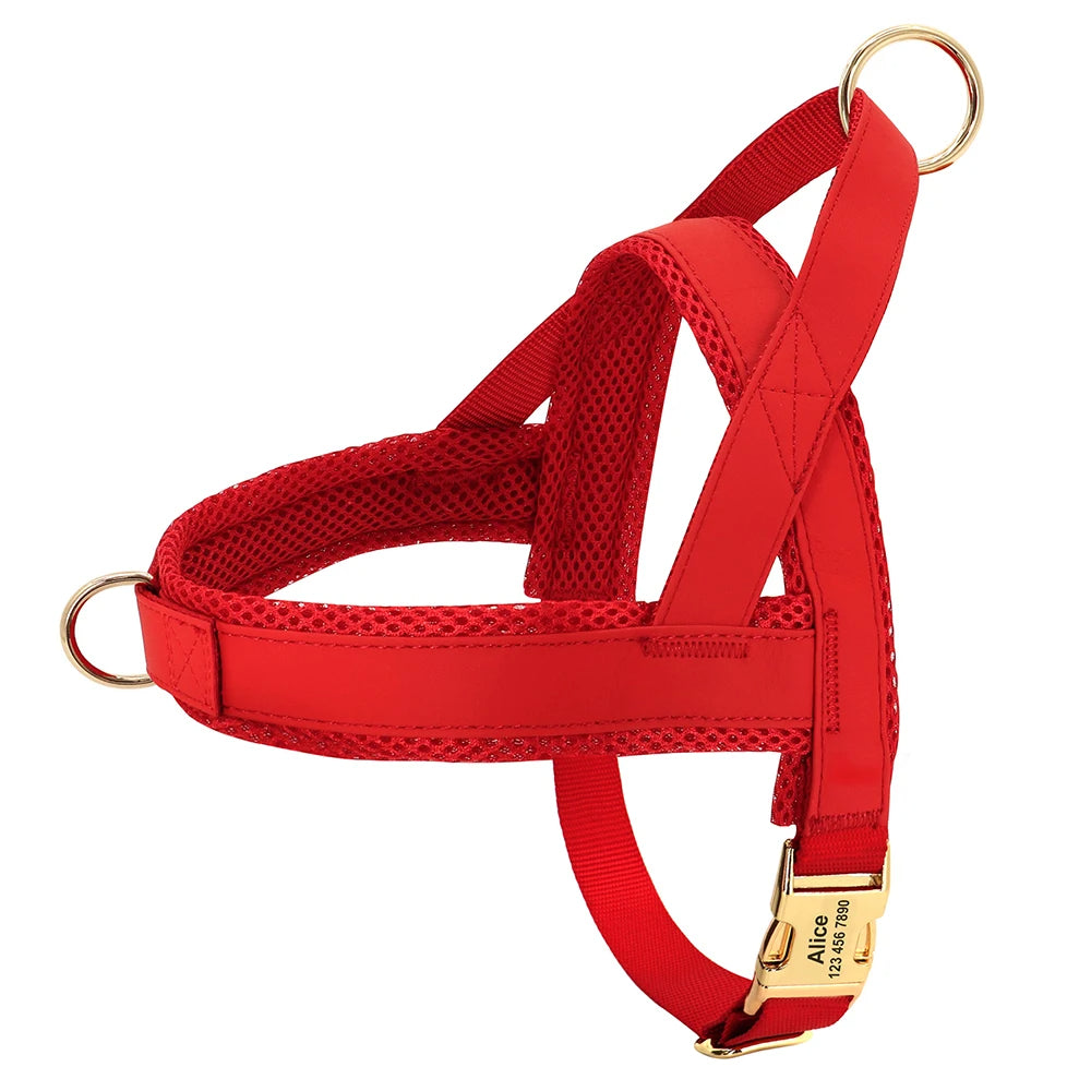 Dog Harness No Pull Dog Harnesses Adjustable Petzymart