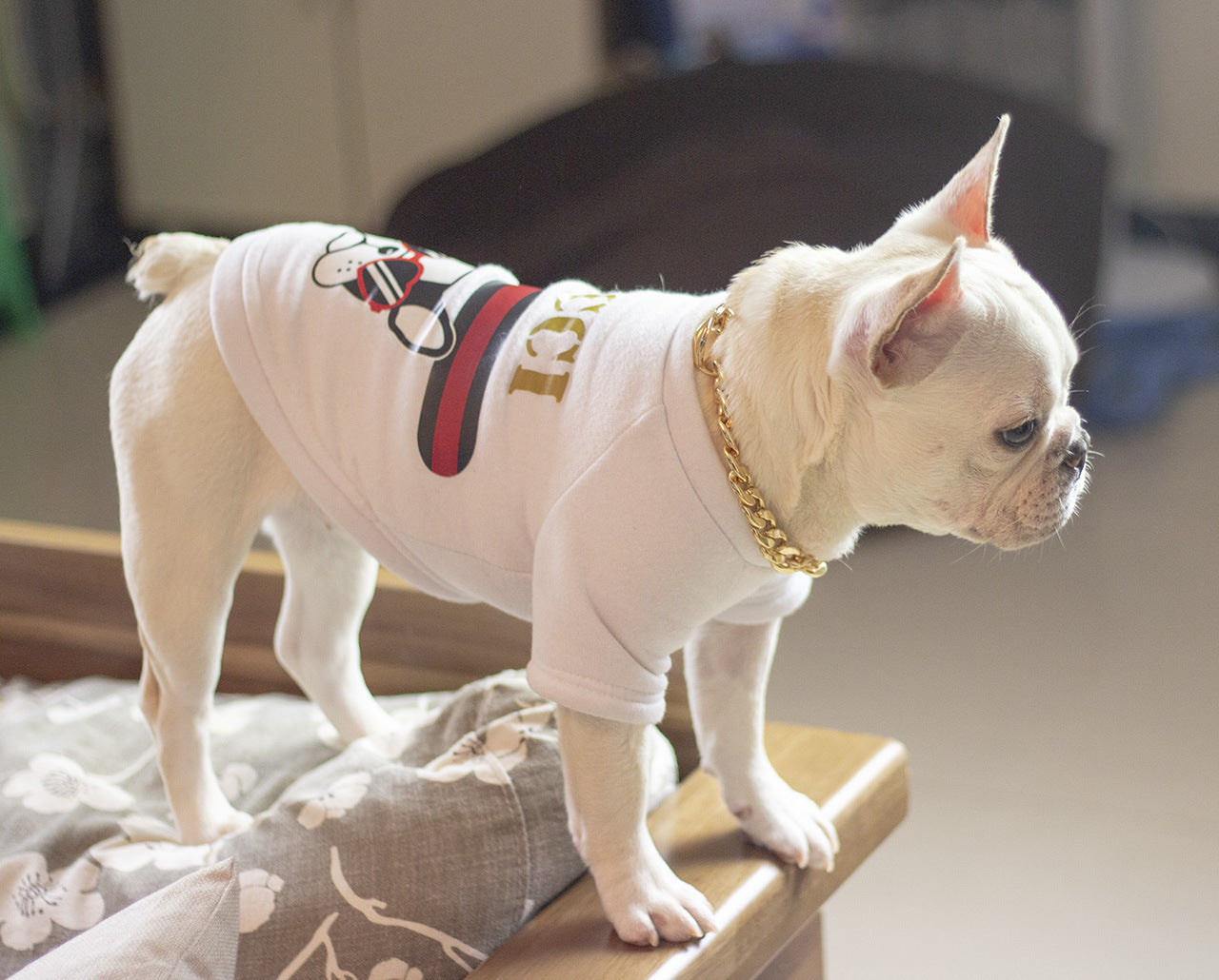 Dog metal big gold chain Petzymart