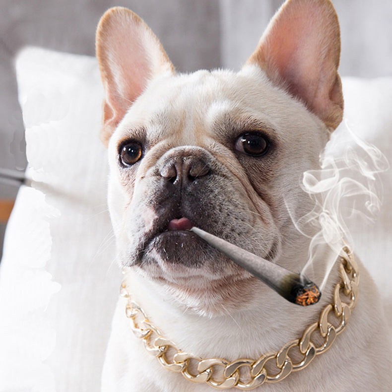 Dog metal big gold chain Petzymart