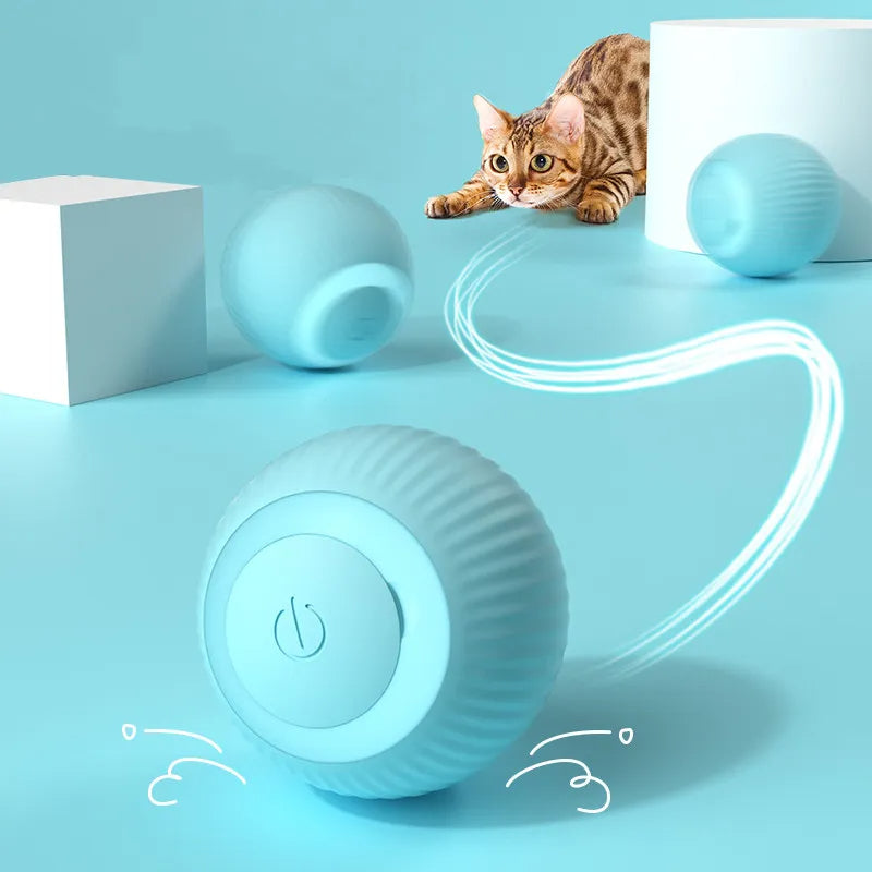 Electric Cat Ball Toys Automatic Rolling for Indoor Playing Petzymart