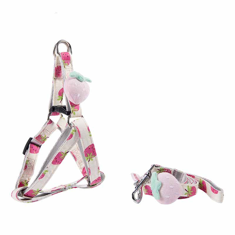 Fruit Printing Outing Dogs Fruit Series Dogs Collars Leash Petzymart
