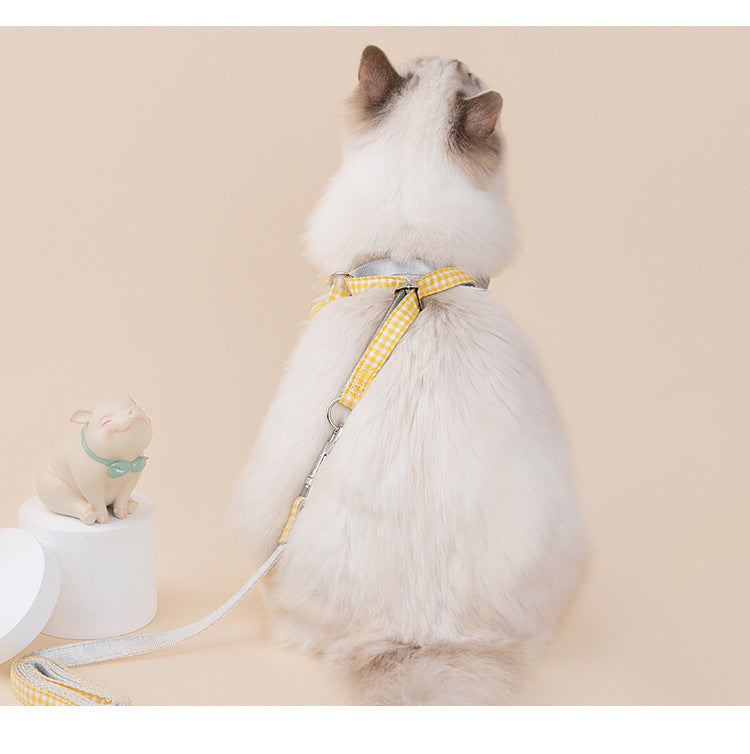 Fruit Printing Outing Dogs Fruit Series Dogs Collars Leash Petzymart