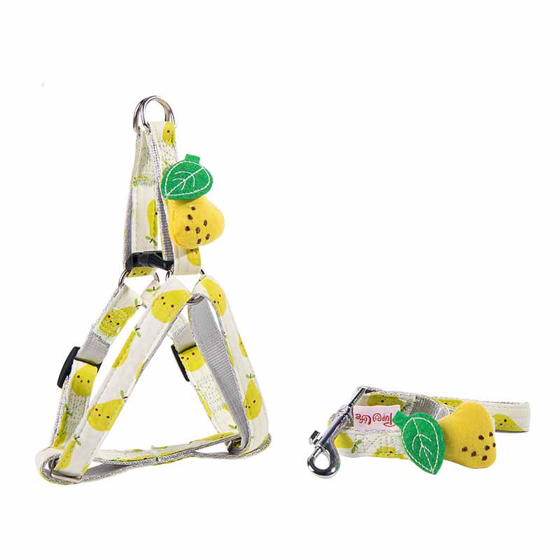 Fruit Printing Outing Dogs Fruit Series Dogs Collars Leash Petzymart