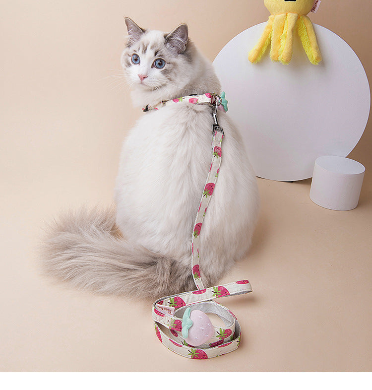 Fruit Printing Outing Dogs Fruit Series Dogs Collars Leash Petzymart