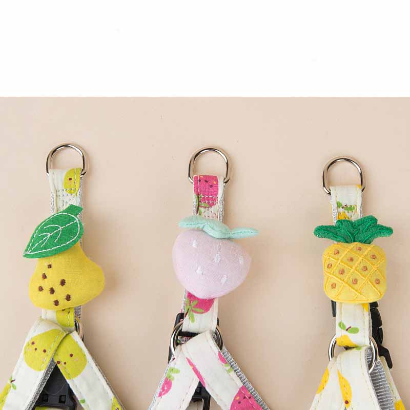 Fruit Printing Outing Dogs Fruit Series Dogs Collars Leash Petzymart