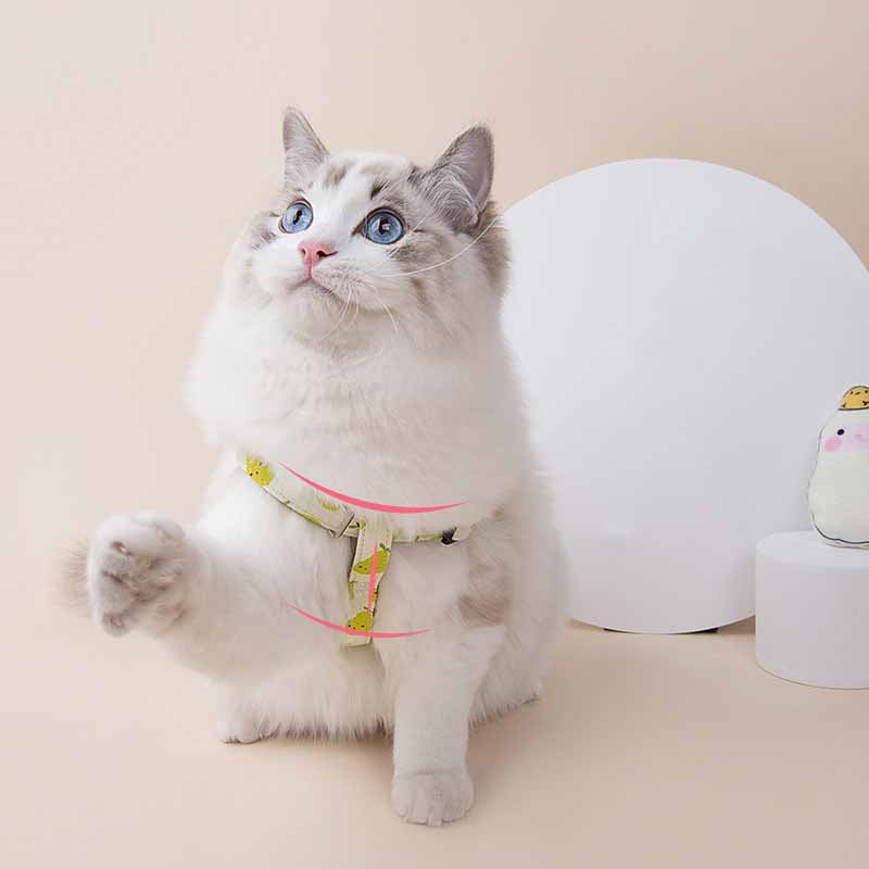 Fruit Printing Outing Dogs Fruit Series Dogs Collars Leash Petzymart