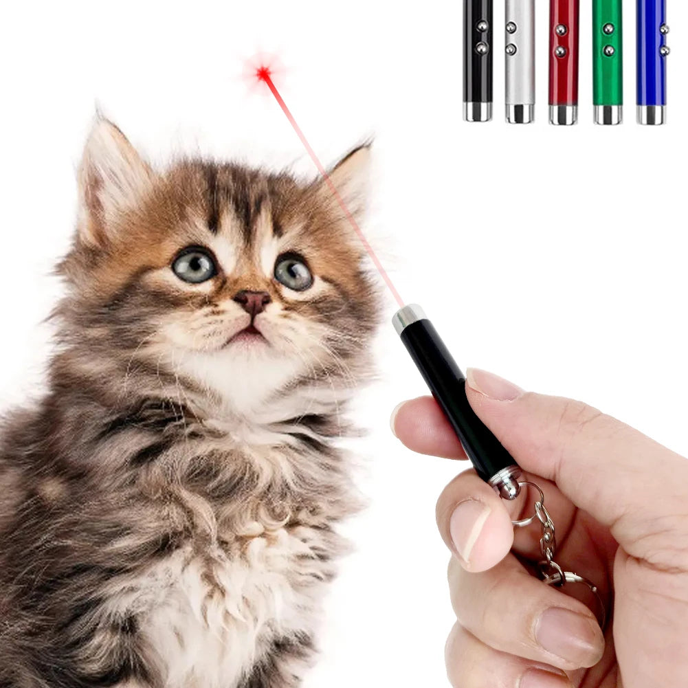 Funny Cat Chaser Pointer Toy LED Pen Light Visible Beam Keychain Petzymart