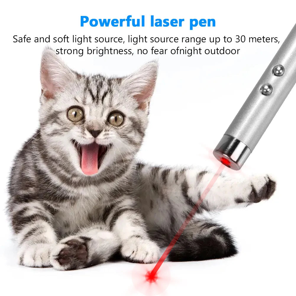 Funny Cat Chaser Pointer Toy LED Pen Light Visible Beam Keychain Petzymart
