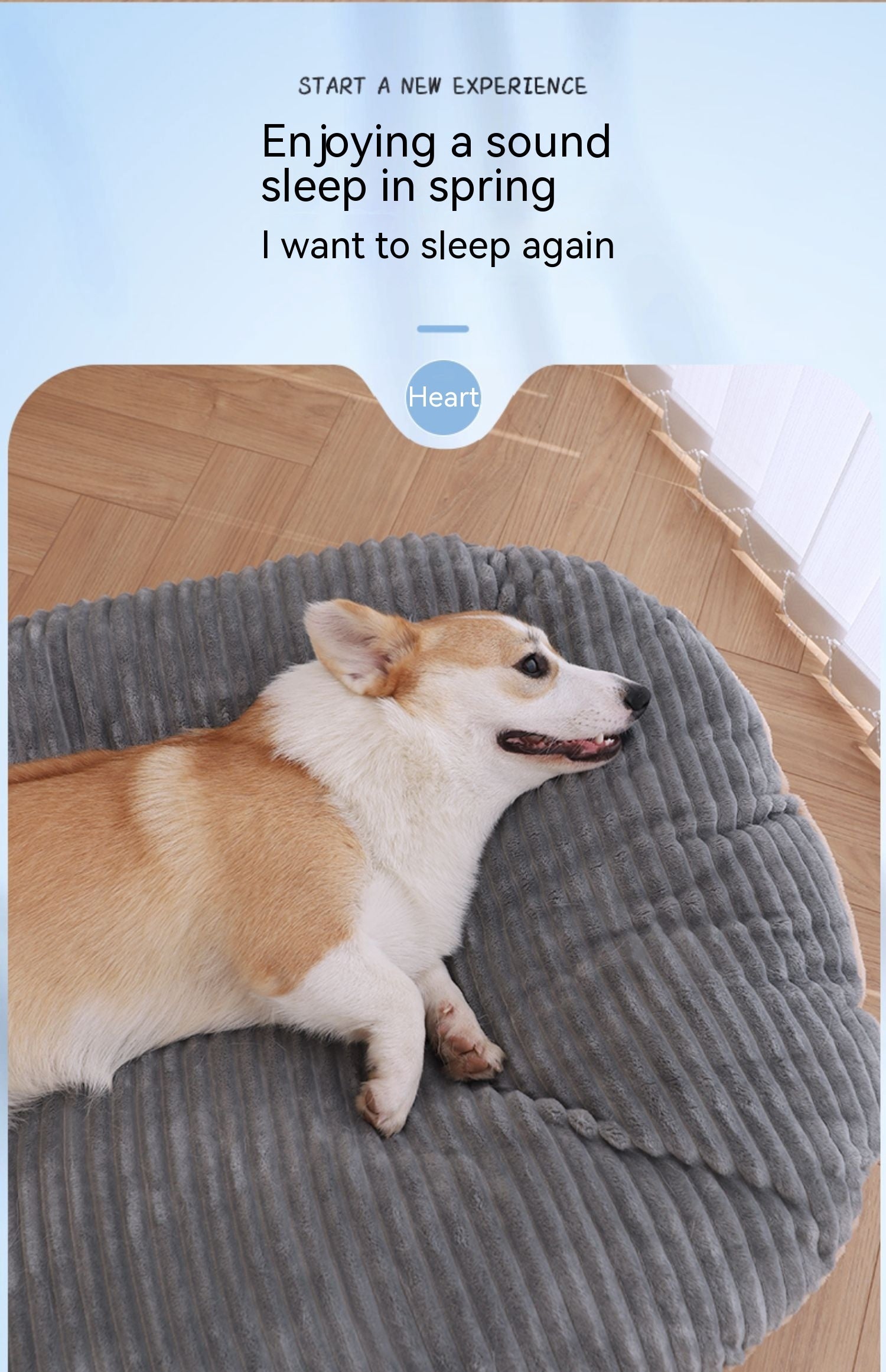 Kennel Four Seasons Universal Floor Mat Dog Mattress Pet Removable And Washable Sleeping Double-sided Mat Petzymart