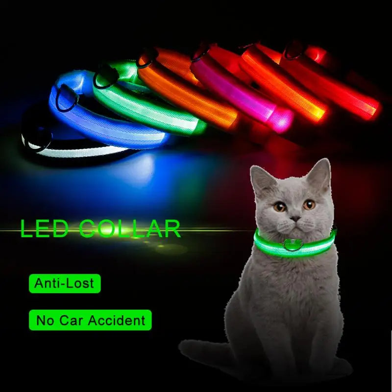 LED Glowing Dog Collar Luminous Collar Petzymart