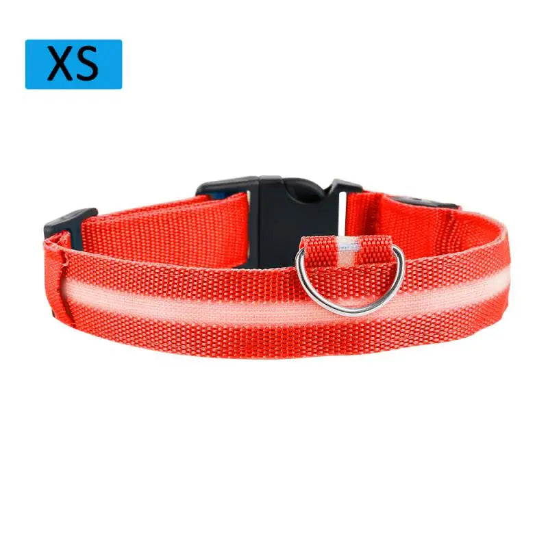 LED Glowing Dog Collar Luminous Collar Petzymart