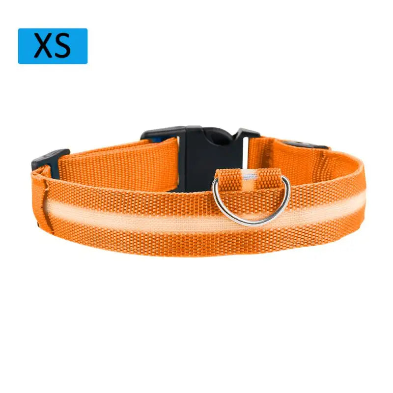 LED Glowing Dog Collar Luminous Collar Petzymart
