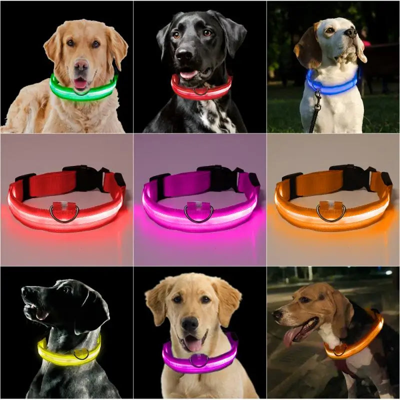 LED Glowing Dog Collar Luminous Collar Petzymart