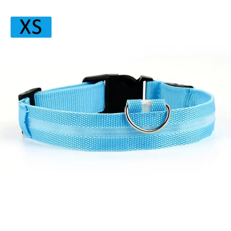 LED Glowing Dog Collar Luminous Collar Petzymart