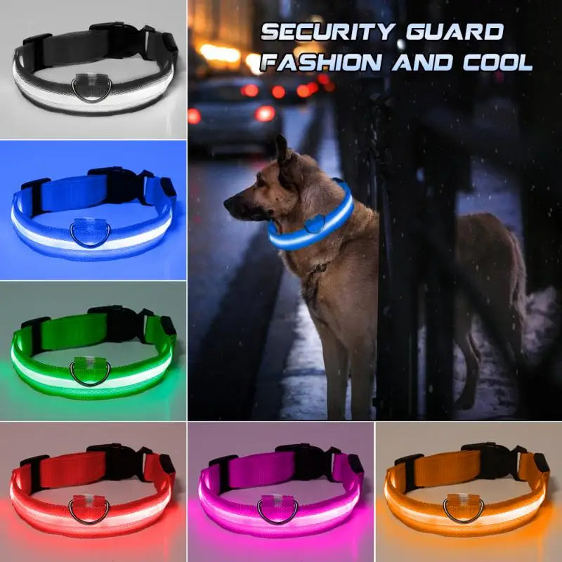 LED Glowing Dog Collar Luminous Collar Petzymart