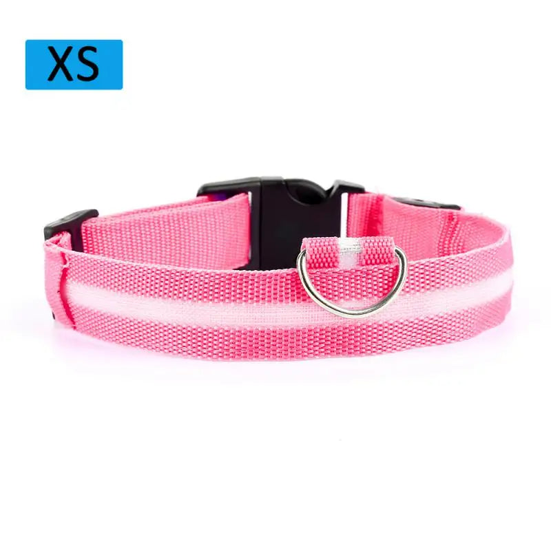 LED Glowing Dog Collar Luminous Collar Petzymart