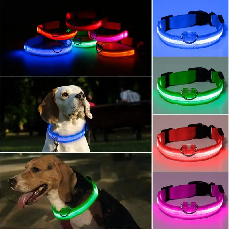 LED Glowing Dog Collar Luminous Collar Petzymart
