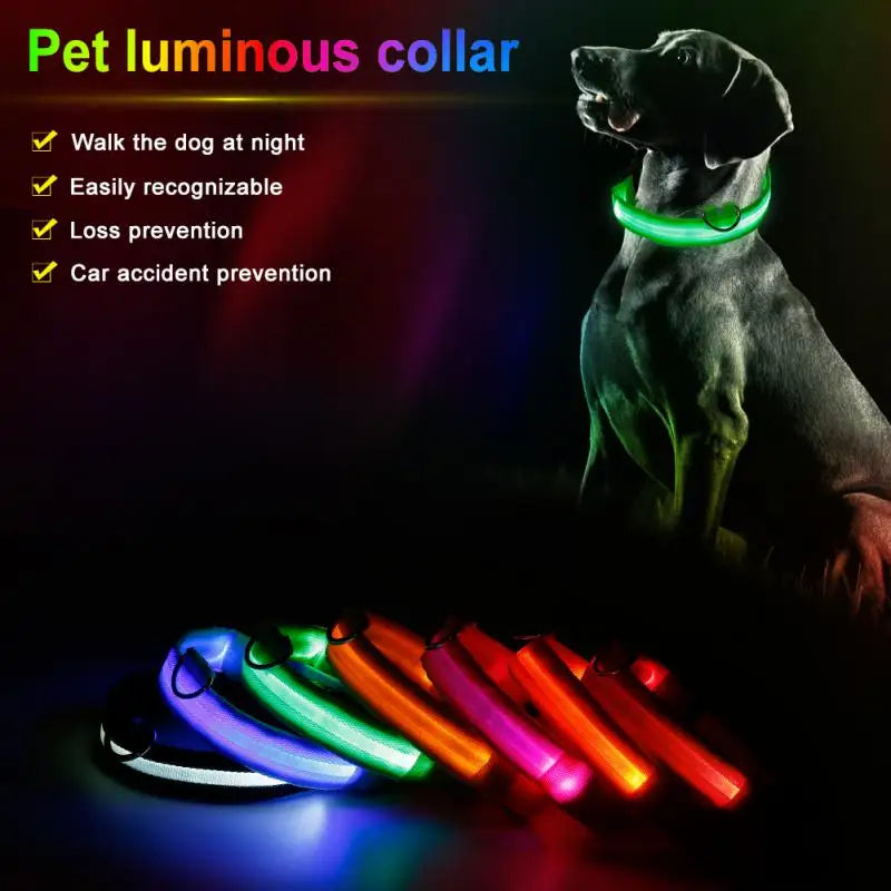 LED Glowing Dog Collar Luminous Collar Petzymart