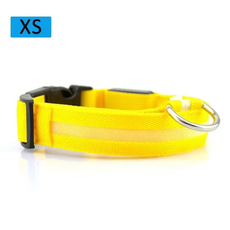 LED Glowing Dog Collar Luminous Collar Petzymart