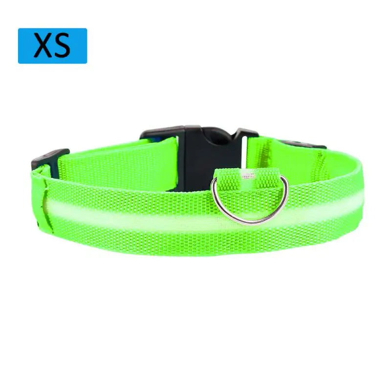 LED Glowing Dog Collar Luminous Collar Petzymart