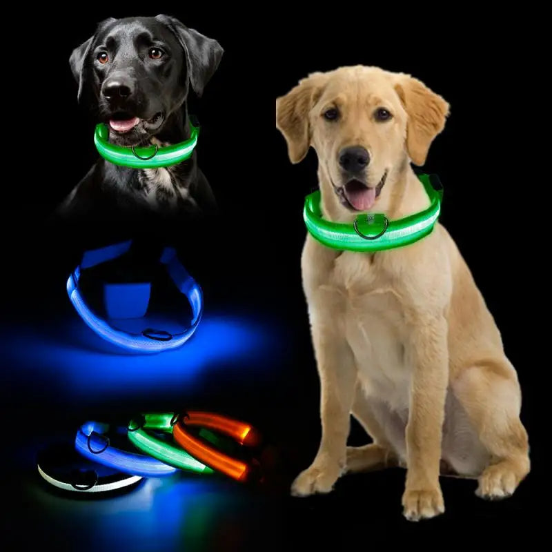LED Glowing Dog Collar Luminous Collar Petzymart