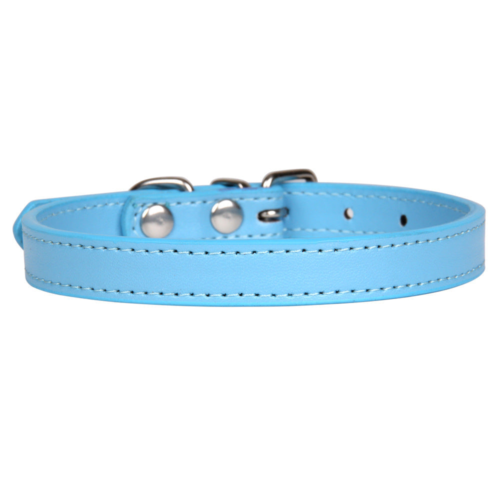 Large dog leash pet collar Petzymart