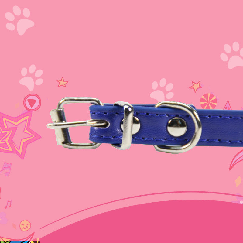 Large dog leash pet collar Petzymart